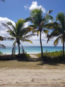 MLS# 52738  Bahama Palm Shores Abaco