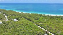 MLS# 57804  Bahama Palm Shores Abaco