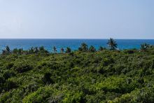 MLS# 59033  Elbow Cay/Hope Town Abaco